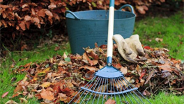 Уборка в саду: как подготовить участок к зиме